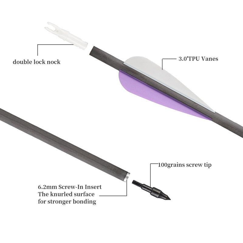 12er-Pack gemischte Carbonpfeile 31" Parabolic Purple Fletched Archery Arrows Spine 350
