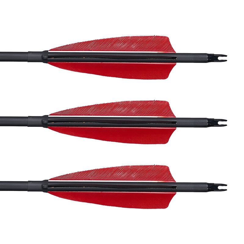 12 Stück Bogenschießen 30,5" Carbonpfeile mit 4 Zoll Truthahnfeder Spine 500