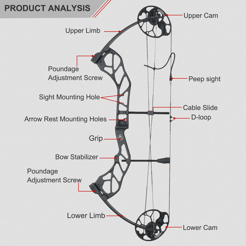 Erwachsene Jagd Compoundbogen mit Pfeilen Set 19-70lbs Rechtshänder Anfänger Outdoor Shooting