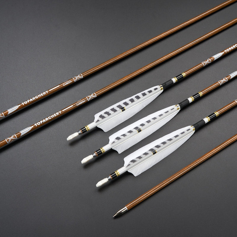 12 Stück 31 Zoll Carbonpfeile Naturfedern Spine 300-600