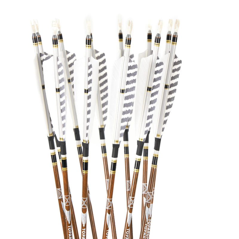 12 Stück 31 Zoll Carbonpfeile Naturfedern Spine 300-600