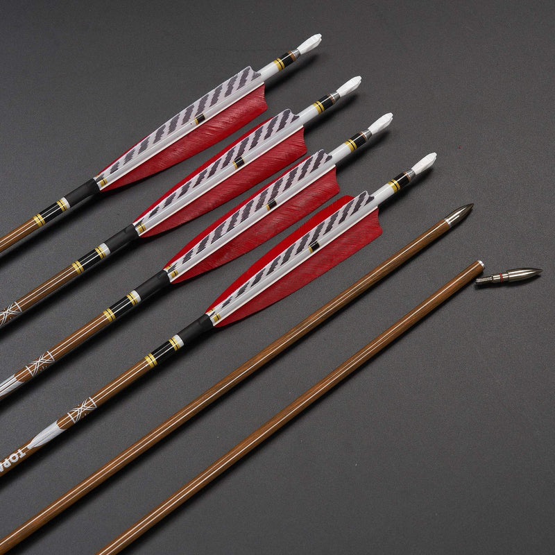12 Stück 31 Zoll Carbonpfeile Naturfedern Spine 300-600