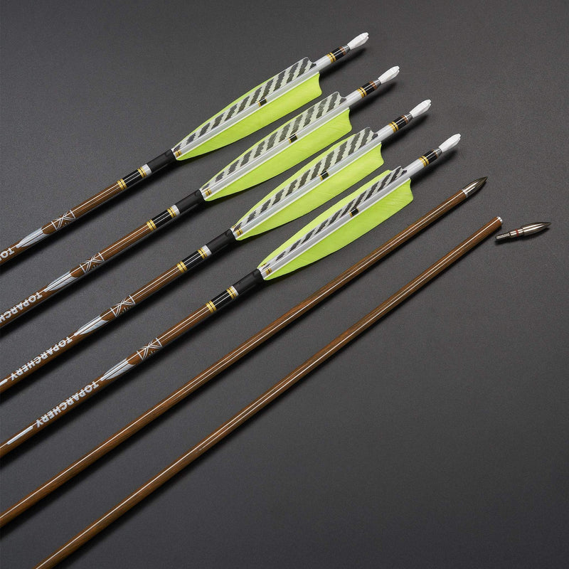 12 Stück 31 Zoll Carbonpfeile Naturfedern Spine 300-600