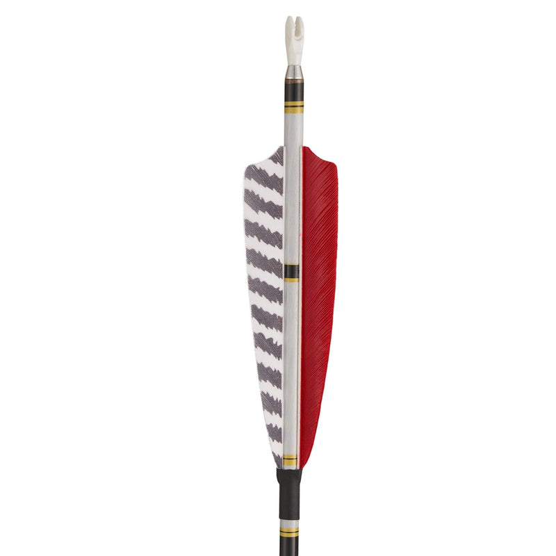 12 Stück 31 Zoll Carbonpfeile Naturfedern Spine 300-600