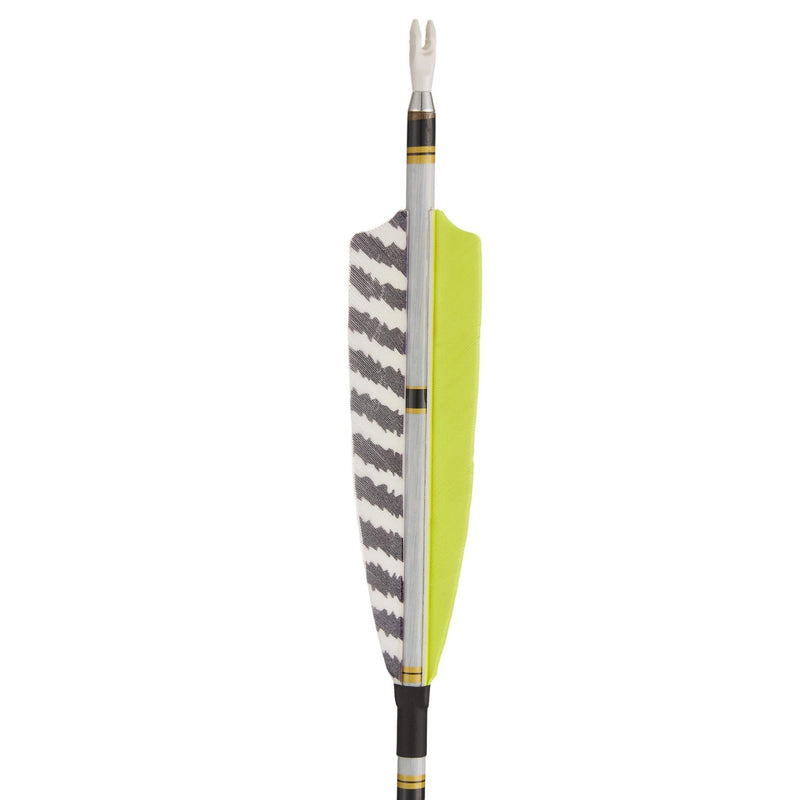 12 Stück 31 Zoll Carbonpfeile Naturfedern Spine 300-600