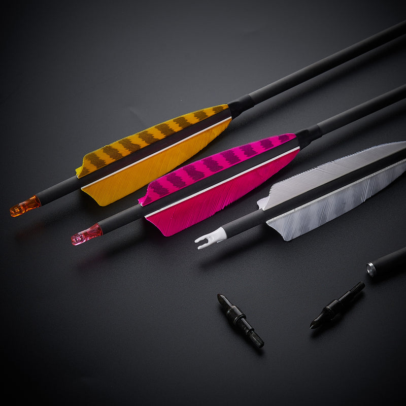 12 Stück 32" Bogenschießen Pfeile aus reinem Carbon, Spine 400
