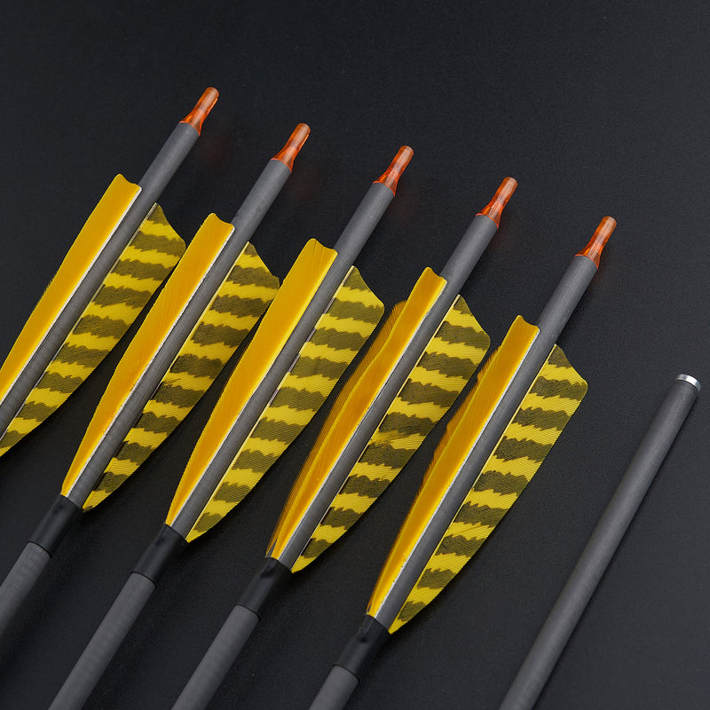12 Stück 32" Bogenschießen Pfeile aus reinem Carbon, Spine 400