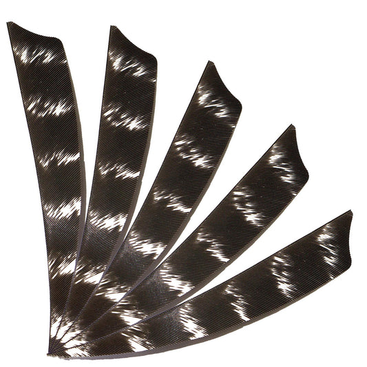 50 Stück 4/5 Zoll Bogenschießen Schild Natürliche Türkei Barred Feathers Carbon Holzpfeilflügel