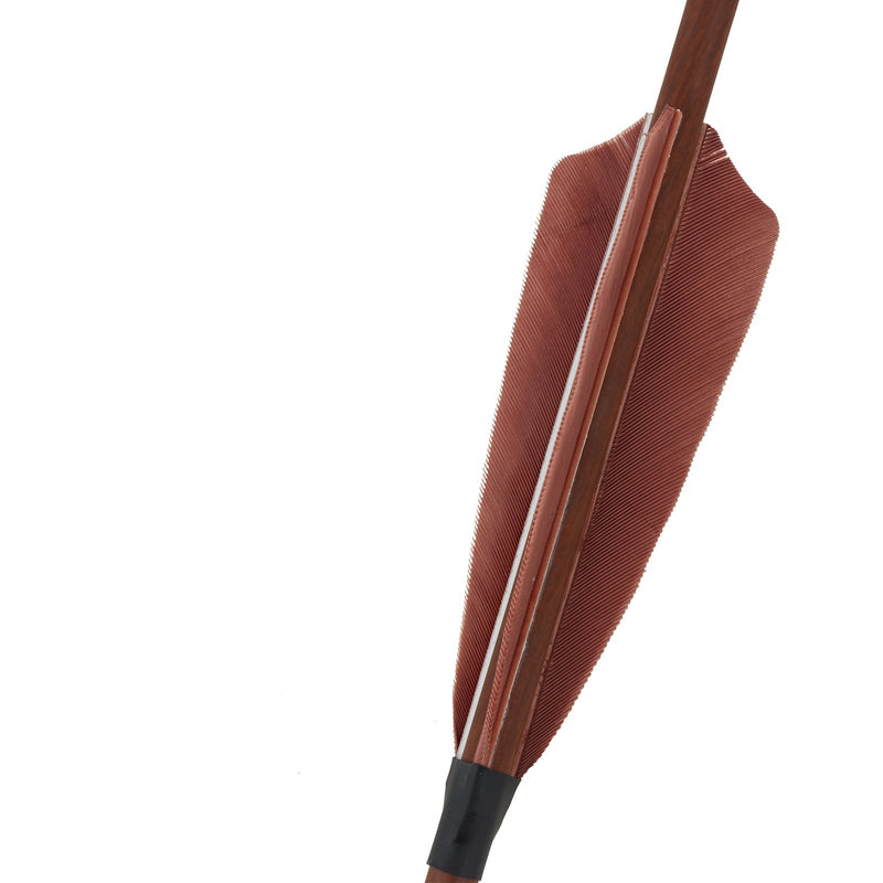 12 Stück 32" Bogenschießen Pure Carbon Pfeile Spine 400